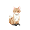 Little fox