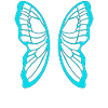 Turquoise butterfly wing pattern on black