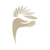 Hand holding a flower