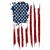 US Flag - USA flag