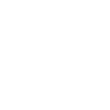 Laika Spacedog Soviet space dogs