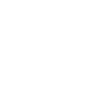 Cruise ship cruise