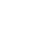 Hamster Hamster doré