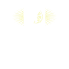 gin
