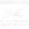 Modellflug RC Flugzeug Modellflieger