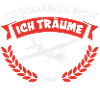Modellflug RC Flugzeug Modellflieger