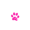 Chien maman