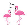 Pink flamingo