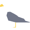 Mouette