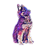 German Shepherd puppy