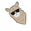 Llama with Sunglasses Funny Llama