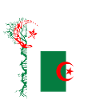 My 100% Algerian DNA
