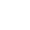 TOY