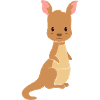 Cute kangaroo