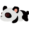 Cute panda