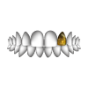 teeth with gold tooth