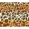 Leopard cheetah big cat fur pattern decoration