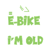 pension de vélo électrique