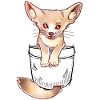 Pocket Cute Fennec Fox