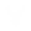 Deer antlers in white