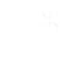 amazigh motive