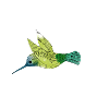 Colibri