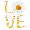Love Daisy Flower