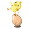 Chick chicken egg