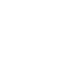lizard