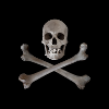 "SKULL AND BONES"