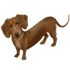 Hund - gravhund