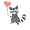 raccoon raccoon lover