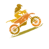 Millésime de motocross