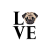 love pug pug