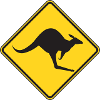 Warning, kangaroo!