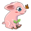 Cochon avec un papillon