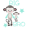 Big bro, big brother