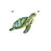 Sea Turtle