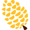 Pine cone pineal gland yoga