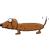 dachshund