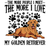 Golden retriever