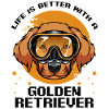 Golden retriever