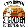 Golden retriever