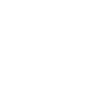 DANDELION DESIGN