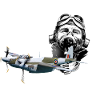 Pilot mosquito