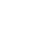 team line dash