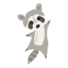 racoon