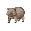 Wombat