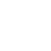 Together Forever Skeletons