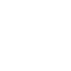 Roswell Flying Saucer 1947